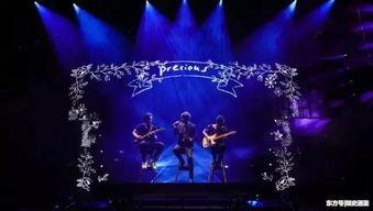 鸟巢演唱会爆料视频  第1张